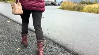 Wild Alaska Adventure: Exploring the Alaska Wildlife Conservation Center