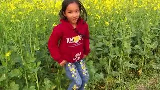 Bhauji kaise ke karbu singar Ho jhulaniya Aasman chhu gael