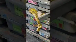 Super dwarf retic at NERD&hellip;. One day these will be apart of my projects.. totally hooked now