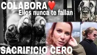 24 horas en una perrera | BATALL&Oacute;N PERRUNO M&Eacute;RIDA | PROTECTORA PERROS M&Eacute;RIDA  // LAURITADG