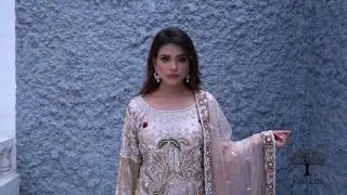 Punjabi Suits Of Boutique | Punjabi Suits Boutique | Punjaban Designer  Boutique