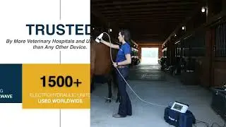 PulseVet Shock Wave Therapy