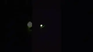 HI THERE!🤣❤️#glowworm#love#nature#explore#funny#freedom#shorts#shorts#viral#insects#like#shortvideo