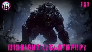 Dogman & The Missing Connection! FT Steve Stockton