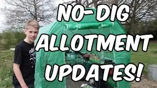 NO-DIG Allotment Update And New Polytunnel Cover!