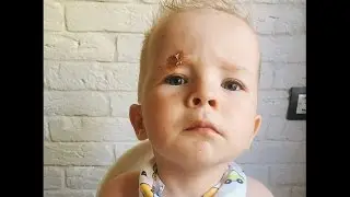 Как кушают маленькие дети. How baby eat their food. Good appetite!