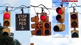Dog House Traffic Lights & McCain PV Signals Everywhere | Davison & McNichols