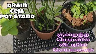 ₹60 க்கு drain cell போதும் வீட்டிலேயே  pot stand செய்யலாம் l  drain cell pot stand in tamil
