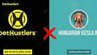 BetHustlers Token Listing on VizslaSwap DEX!