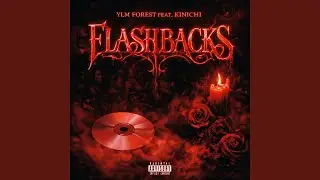 Flashbacks (feat. Kinichi :])