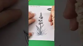 How to Draw Relaxing Plant Art 🌿 Easy Zentangle Plant Drawing | Relaxing Plant Drawing Tutorial