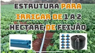 Tudo que  você precisa  para Irrigando de 1 a 2 hectare de feijão, manejo e custos