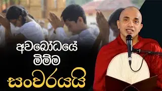 අවබෝධයේ මිම්ම සංවරයයි | Ven.Ududumbara Kashyapa Thero | Vidarshana I 2022.04.26