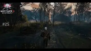 The Witcher 3 - Ep 25 : qu&ecirc;te 