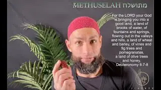 METHUSELAH - The 2000 Year Old Judean Palm Tree is Resurrected