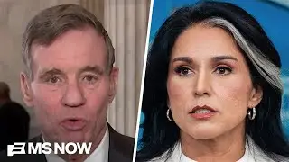 Why Sen. Warner says Gabbard may have 'violated her responsibility as DNI' in Georgia