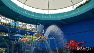 Splash @kids Amaze  Safra Punggol Singapore | wheng follante vlog #foryou