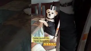 #tobytime
