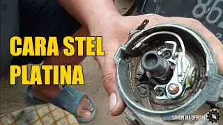 Cara stel platina