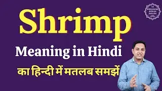 Shrimp meaning in Hindi | Shrimp ka matlab kya hota hai | English vocabulary words