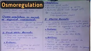 Osmoregulation in Marine, Terrestrial & Desert Animals | Class 12