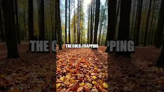 Understanding the Power of Natural Insulation for Survival
