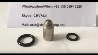 CAT Diesel Nozzle 8N1831/ 8N 1831 for Caterpillar D342T from China