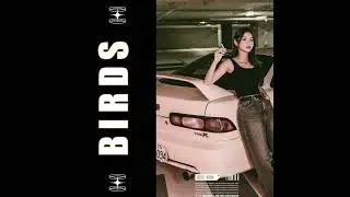 [FREE] ' BIRDS ' TRAP BEAT | TYPE BEAT | MELODIC TRAP INSTRUMENTAL 2026 | FREE DL