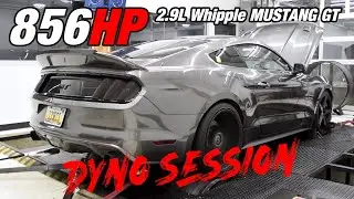 850HP Mustang GT | 2.9L Whipple Dyno Session