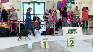 25.01.2026 Specialty в рамках Национальной выставки &laquo;Кубок РФОС 2026&raquo;