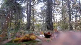 WeRun - Viktor /A summer is over
