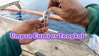 Umpan Cumi vs Tongkol buat mancing dasaran selalu strike dobel @omblackfishing8118