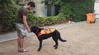 Vibration Motor Vest Short Video