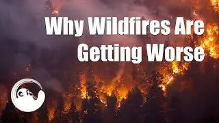 Why wildfires are getting worse in the U.S.