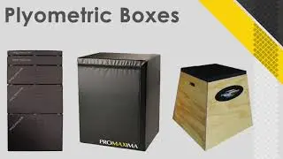 Promaxima Show 2019 1