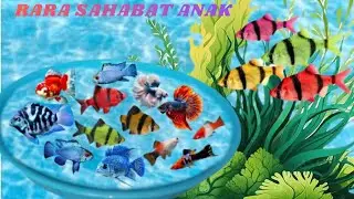 UNBOXING AQUARIUM FISH IN SMALL POND, MOLLY, GLOFISH, BLUE ELEKTRIK, ANGELFISH, PLATY, GOLDFISH