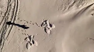 DJI DRONES
