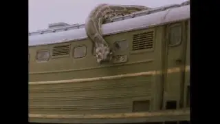 Художественный фильм  