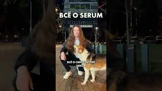 Всё о синтезаторе SERUM, часть первая #vst #xfer #xferserum #synthesizers #production #music