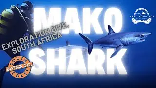 Exploration dive SUCCESS! Mako Shark on Scuba | South Africa | South Coast Diving Co