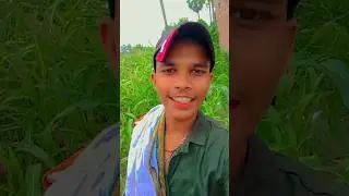 #localupdates