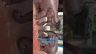 Wooden elephant