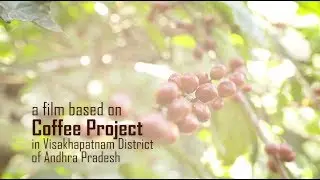 Coffee Plantation in Andhra Pradesh under MGNREGS