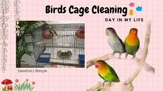 #DIY Cleaning My Birds Cage and Making Swing for them. / Day in my Life / Sweeties Lifestyle.