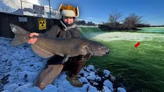 Nuclear Power Plant Fishing for Monster Catfish!