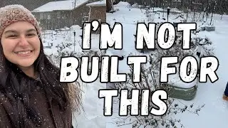 Winter Storm Prep on the Mini Homestead VLOG