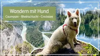 Vlog mit Hund | Rundwanderung Flims–Caumasee–Rheinschlucht–Crestasee