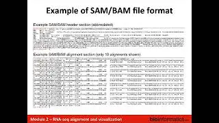RNA-seq Alignment and Visualization