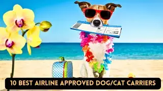 10 Best Dog/Cat Carriers for a Comfortable Airline Travel Experience
