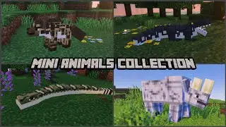 Emang boleh semini ini!!? Mini animals collection addon